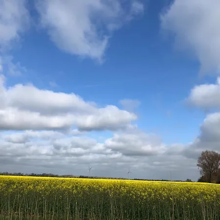 Tief 12 Moewenkieker Mit Internet 55 *